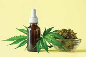 AUG24_FEAT_Cannabis_01 AUG24_FEAT_Cannabis_01