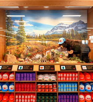 Branding-wallys-store1