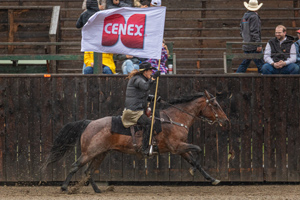 Branding-Cenex